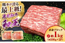 熊本県産 A5等級 黒毛和牛 和王 赤身ブロック 約500g×2P 計約1kg【帝神志方ミート 株式会社】 牛 肉 モモ もも 赤身 ブロック ローストビーフ 焼き肉 バーベキュー A5 和牛 国産 熊本 定期便 [AYCH060]