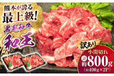 【訳あり】熊本県産 A5等級 黒毛和牛 和王 赤身肉 小間切れ 約400g×2P 計約800g【帝神志方ミート 株式会社】 牛 肉 赤身 小間 こま切れ 小分け 切り落とし カレー 炒め物 料理 A5 和牛 国産 熊本 [AYCH071]