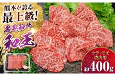 熊本県産 A5等級 黒毛和牛 和王 ウデ・モモ 焼肉用 約400g【帝神志方ミート 株式会社】 牛 肉 うで ウデ 腕 モモ もも 焼き肉 バーベキュー A5 和牛 国産 熊本 [AYCH087]