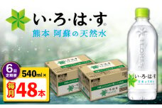 【全6回定期便】い・ろ・は・す 阿蘇の天然水 540ml 48本 計288本 540ml×24本×2ケース 【コカ・コーラボトラーズジャパン株式会社】 水 ミネラルウォーター 飲料水 コカコーラ ドリンク 540ml ペットボトル 天然水 定期便 [AYAA024]