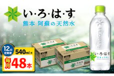 【全12回定期便】い・ろ・は・す 阿蘇の天然水 540ml 48本 計576本 540ml×24本×2ケース 【コカ・コーラボトラーズジャパン株式会社】 水 ミネラルウォーター 飲料水 コカコーラ ドリンク 540ml ペットボトル 天然水 定期便 [AYAA025]