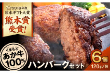 あか牛 くまモン ハンバーグ セット 120g×6個【一般社団法人クラッシーノこうし】ハンバーグ はんばーぐ 赤牛 あか牛 あかうし 小分け 冷凍 惣菜 くまモン くまもん お土産 [AYAB010]