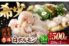 【全3回定期便】 赤牛 ホルモン 500g（250g×2パック） / お肉 肉 牛肉 あか牛 小腸 シロホルモン もつ 熊本県産 冷凍【五右衛門フーズ熊本店】 [AYBV007]