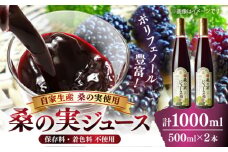 峯樹木園 桑の実ジュース 500ml×2本セット【一般社団法人クラッシーノこうし】桑の実 くわのみ ジュース じゅーす 飲料 ポリフェノール ぽりふぇのーる 国産 桑 実 熊本県 熊本 くまもと 合志市 合志 こうし 配送無料 [AYAB019]
