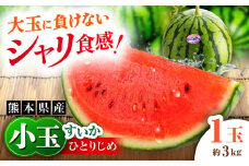 【先行予約】【数量限定】小玉すいか 1玉入（約3kg） 　【一般社団法人クラッシーノこうし】 [AYAB023]