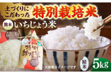 いちじょう 米（品種 にこまる） 精米 5kg 熊本県産 お米 白米 【一般社団法人クラッシーノこうし】 [AYAB053]
