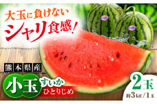 【先行予約】【数量限定】小玉すいか 2玉入（1玉 約3kg） 　【一般社団法人クラッシーノこうし】 [AYAB056]