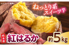 紅はるか 秀品 約5kg S〜2Lサイズ混合 【株式会社 Foody’s】さつまいも 芋 べにはるか 熊本県産 さつま芋 いも 芋 国産 九州産 熊本産 熊本県 合志市 [AYAT004]