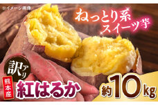 【訳あり】 紅はるか 約10kg 2S〜3Lサイズ混合 【株式会社 Foody’s】 [AYAT003]