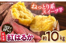 【訳あり】 紅はるか 約10kg 2S〜3Lサイズ混合 【株式会社 Foody’s】さつまいも 芋 べにはるか 規格外 家庭用 さつま芋 傷あり 訳あり品 自宅用 熊本 いも 国産 九州産 熊本産 熊本県 合志市 [AYAT003]