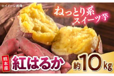 紅はるか 秀品 約10kg S〜2Lサイズ混合　【株式会社 Foody’s】　 [AYAT005]