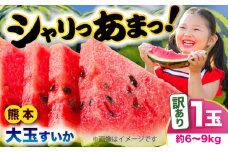 【先行予約】　【訳あり】 大玉すいか 1玉 約6kg〜9kg 【株式会社 Foody's】 [AYAT007]