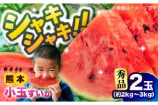 【先行予約】小玉すいか 秀品 2玉 約2kg〜3kg【株式会社 Foody's】 [AYAT008]