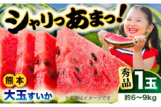 【先行予約】　大玉すいか 秀品 1玉 約6kg〜9kg 【株式会社 Foody's】 [AYAT006]
