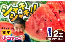 【先行予約】訳あり 小玉すいか 2玉 約2kg〜3kg　【株式会社 Foody's】 [AYAT009]