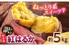 【訳あり】紅はるか 約5kg 2S〜3Lサイズ混合 【株式会社 Foody's】 [AYAT010]