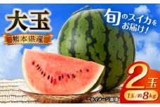 【先行予約】【数量限定】大玉 西瓜 2玉入り (1玉約8kg以上×2玉)【株式会社 GGYパッケージ】 [AYAU002]