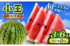 【先行予約】【数量限定】こだま西瓜 1箱約8kg (3L〜M 3〜6玉入り)【株式会社 GGYパッケージ】 [AYAU003]