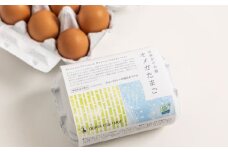 竹林かぐや姫オメガたまご　36個入 たまご 卵【株式会社 緒方エッグファーム】 [AYBG002]