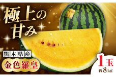 【先行予約】【数量限定】金色羅皇 1玉入（約8kg） 　【一般社団法人クラッシーノこうし】 [AYAB061]