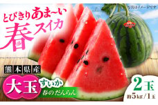 【先行予約】【数量限定】大玉すいか 2玉入（1玉 約5kg） 【一般社団法人クラッシーノこうし】 [AYAB057]