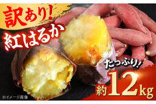 【先行予約】 【訳あり】 【数量限定】 紅はるか さつまいも 約12kg 1箱【Shiro Planning 株式会社】さつまいも 紅はるか 芋 サツマイモ 甘い 焼き芋 スイートポテト 熊本県産 ねっとり [AYAJ001]