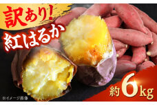 【先行予約】 【訳あり】 【数量限定】 紅はるか さつまいも 約6kg 1箱 【Shiro Planning 株式会社】さつまいも 紅はるか 芋 サツマイモ 甘い 焼き芋 スイートポテト 熊本県産 ねっとり [AYAJ002]