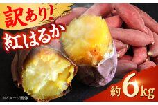 【先行予約】 【訳あり】 【数量限定】 紅はるか さつまいも 約6kg 1箱 【Shiro Planning 株式会社】さつまいも 紅はるか 芋 サツマイモ 甘い 焼き芋 スイートポテト 熊本県産 ねっとり [AYAJ002]