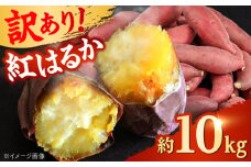 【先行予約】 【訳あり】 【数量限定】 紅はるか さつまいも 約10kg 1箱 【Shiro Planning 株式会社】さつまいも 紅はるか 芋 サツマイモ 甘い 焼き芋 スイートポテト 熊本県産 ねっとり [AYAJ005]