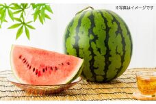 【先行予約】大玉 スイカ　1玉（約7〜9kg）　【中島農園】 [AYCX001]