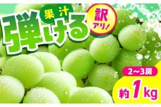 【先行予約】【訳あり】シャインマスカット　約1kg（2〜3房）　【中島農園】合志市 熊本県 産地直送 マスカット ますかっと シャインマスカット しゃいんますかっと ブドウ 葡萄 果物 くだもの 鮮度抜群 大粒 種なし 皮ごと 季節限定 先行予約 訳あり [AYCX003]