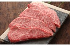 【全3回定期便】【GI認証】くまもとあか牛 食べ比べ F リブロース トモサンカク 赤身モモブロック【有限会社 三協畜産】 [AYCQ031]