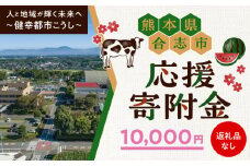 【応援寄附金】熊本県合志市 1口 1万円 返礼品なしのご寄附　【合志市役所】 [AYBZ001]