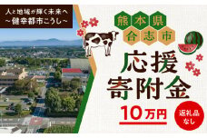 【応援寄附金】熊本県合志市 1口 10万円 返礼品なしのご寄附　【合志市役所】 [AYBZ003]