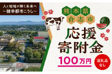 【応援寄附金】熊本県合志市 1口 100万円 返礼品なしのご寄附　【合志市役所】 [AYBZ005]