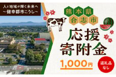 【応援寄附金】熊本県合志市 1口 1,000円 返礼品なしのご寄附　【合志市役所】 [AYBZ006]