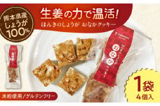 ほんきのしょうが おなかクッキー【ジンジベル】 [AYAD005]