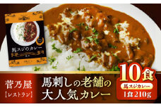 馬スジのカレー 10食 210g×10 計2.1kg 【株式会社 千興ファーム】馬スジ カレー セット 熊本 レトルト 小分け [AYAF027]
