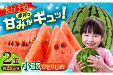 【先行予約】【数量限定】小玉 すいか 2玉 ひとりじめ 計4kg 【合同会社 福福堂】 [AYAC046]