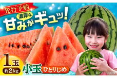 【先行予約】【数量限定】小玉 すいか 1玉 ひとりじめ 計2kg 【合同会社 福福堂】 [AYAC054]