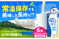 【全6回定期便】らくのう特濃4.3 ロングライフ 1000ml（6本入り） 6L【合同会社 福福堂】特濃 ミルク カルシウム 牛乳 常温保存 長期保存 送料無料  [AYAC024]