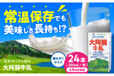 【全6回定期便】大阿蘇牛乳 ロングライフ 250ml 24本（12本入り×2ケース） 6L【合同会社 福福堂】成分無調整牛乳 ミルク カルシウム 牛乳 常温保存 長期保存 送料無料 [AYAC028]