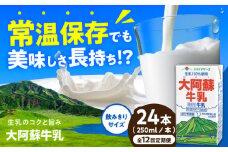 【全12回定期便】大阿蘇牛乳 ロングライフ 250ml 24本（12本入り×2ケース） 6L【合同会社 福福堂】成分無調整牛乳 ミルク カルシウム 牛乳 常温保存 長期保存 送料無料 [AYAC029]