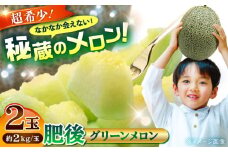 【先行予約】【数量限定】肥後グリーンメロン 2玉 計4kg 【合同会社 福福堂】 [AYAC045]