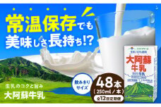 【全12回定期便】大阿蘇牛乳 ロングライフ 250ml 48本（12本入り×4ケース） 12L【合同会社 福福堂】成分無調整牛乳 ミルク カルシウム 牛乳 常温保存 長期保存 送料無料 [AYAC060]