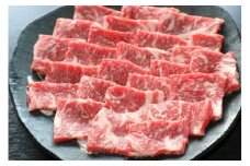 【全6回定期便】GI認証 くまもとあか牛 焼肉用 約500ｇ【有限会社 桜屋】 [AYCP063]