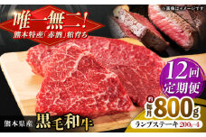 【全12回定期便】熊本県産 『原田畜産』 黒毛和牛 ランプ ステーキ 計約800g（約200g×4パック） 牛肉 牛【有限会社 九州食肉産業】  黒毛 和牛 国産 ランプステーキ お肉 肉 熊本県 熊本 合志 合志市 [AYCN094]