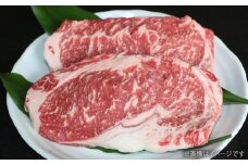 G11P GI認証 くまもとあか牛 ロースステーキ 約500g 冷凍【有限会社 桜屋】 [AYCP004]