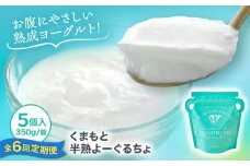【全6回定期便】オオヤブデイリーファーム くまもと半熟よーぐるちょ 350g×5個【株式会社 オオヤブデイリーファーム】 [AYAE006]