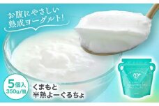 オオヤブデイリーファーム くまもと半熟よーぐるちょ 350g×5個セット【株式会社 オオヤブデイリーファーム】 [AYAE004]